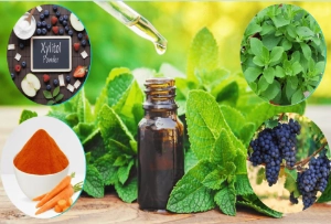 BioDentex Ingredients