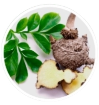 Konjac Glucomannan