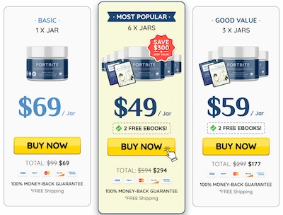 FortBite pricing details